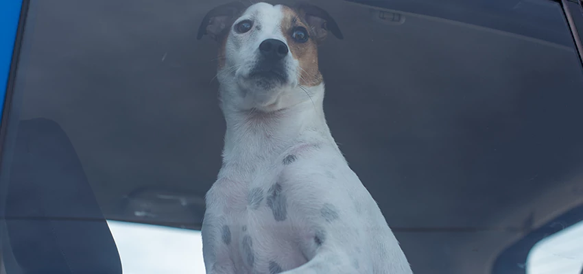 Car Lockout Solutions in Newport Beach, California